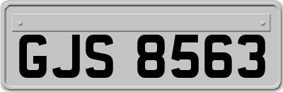 GJS8563