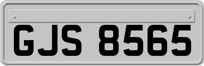 GJS8565