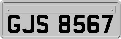GJS8567