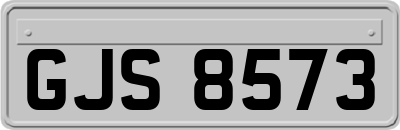 GJS8573