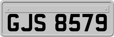 GJS8579