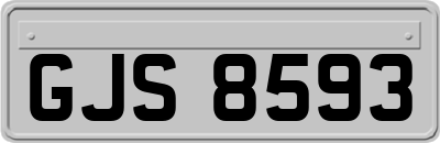 GJS8593