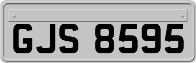 GJS8595
