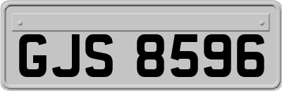 GJS8596
