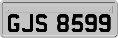 GJS8599