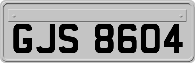 GJS8604