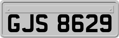 GJS8629