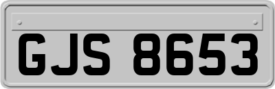 GJS8653