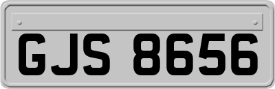 GJS8656