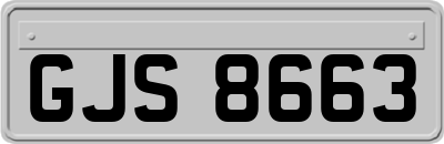 GJS8663
