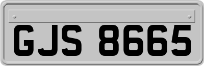 GJS8665