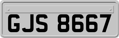 GJS8667