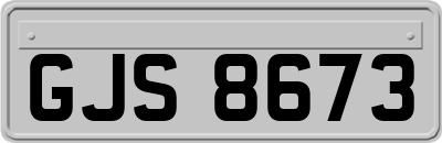 GJS8673