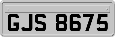 GJS8675