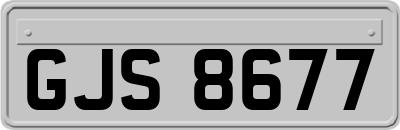 GJS8677