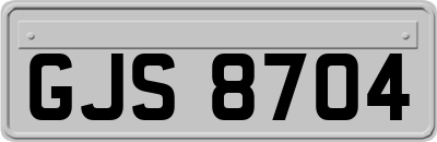 GJS8704