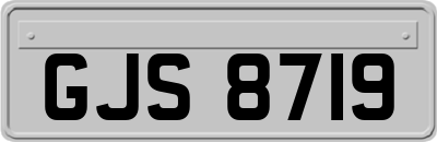 GJS8719