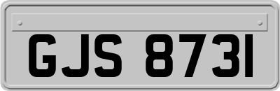 GJS8731