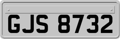 GJS8732