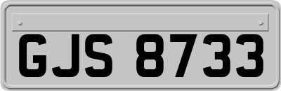GJS8733