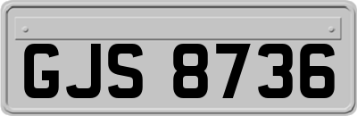 GJS8736