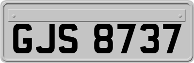 GJS8737