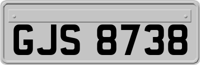 GJS8738