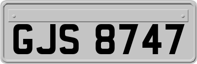GJS8747