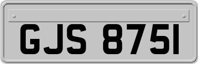 GJS8751