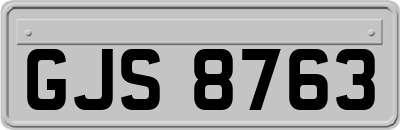 GJS8763