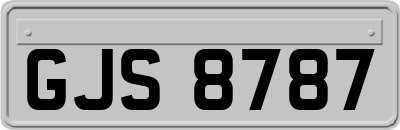 GJS8787