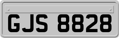 GJS8828