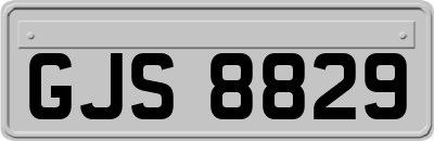 GJS8829