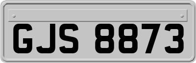 GJS8873
