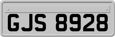 GJS8928