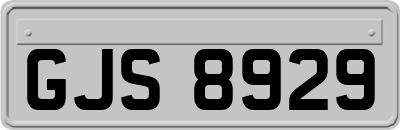 GJS8929