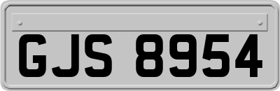 GJS8954