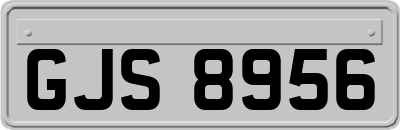 GJS8956
