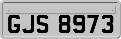 GJS8973
