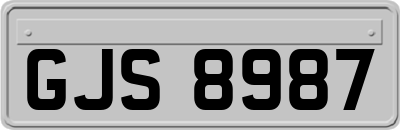 GJS8987