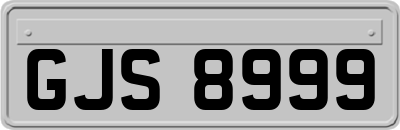 GJS8999