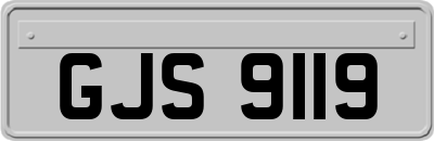 GJS9119