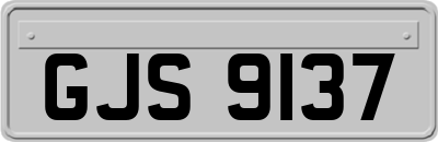 GJS9137