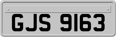 GJS9163
