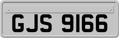 GJS9166