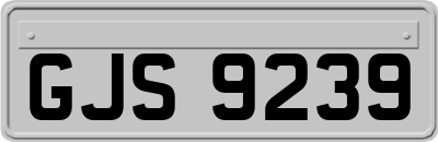 GJS9239