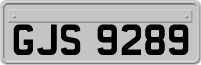 GJS9289