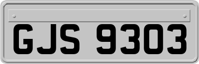 GJS9303