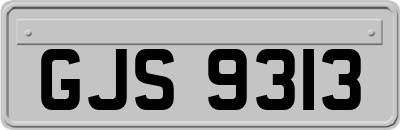 GJS9313