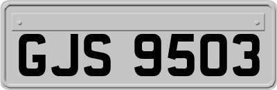 GJS9503